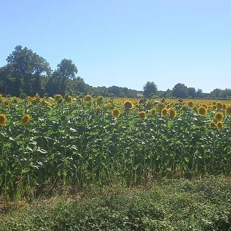 Dom wakacyjny 3-bed House - Sleeps 6 - Garden Balcony Parking